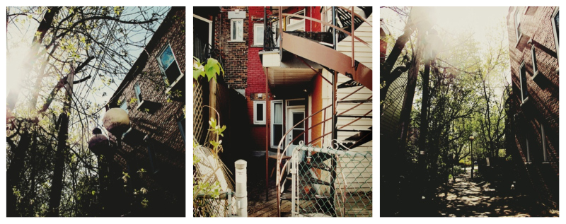 montreal collage.jpg