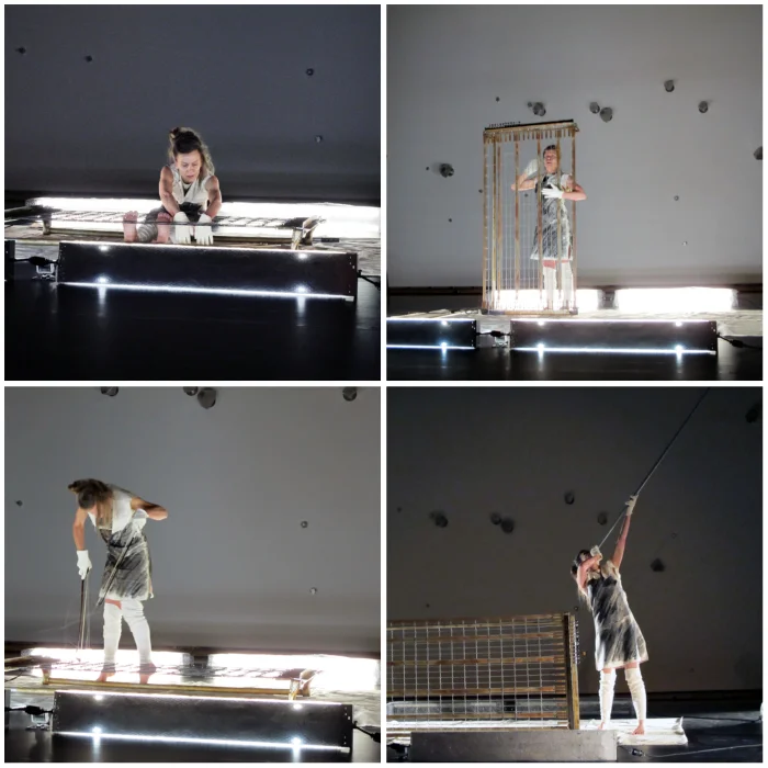sheboxhoney collage.jpg