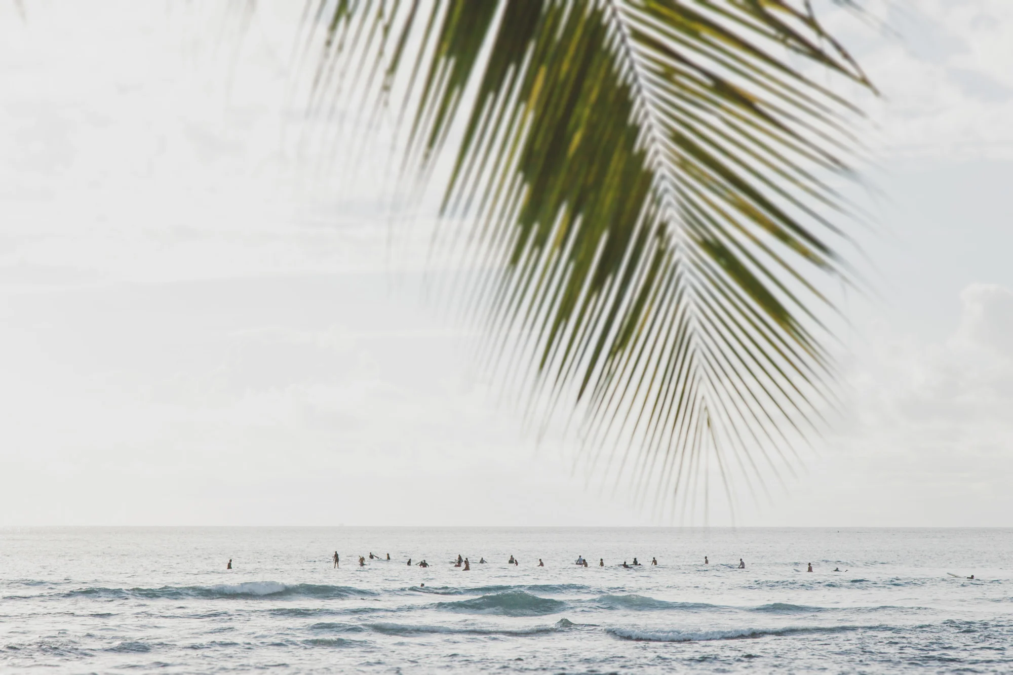 Hawaii stocksy 18_1.jpg