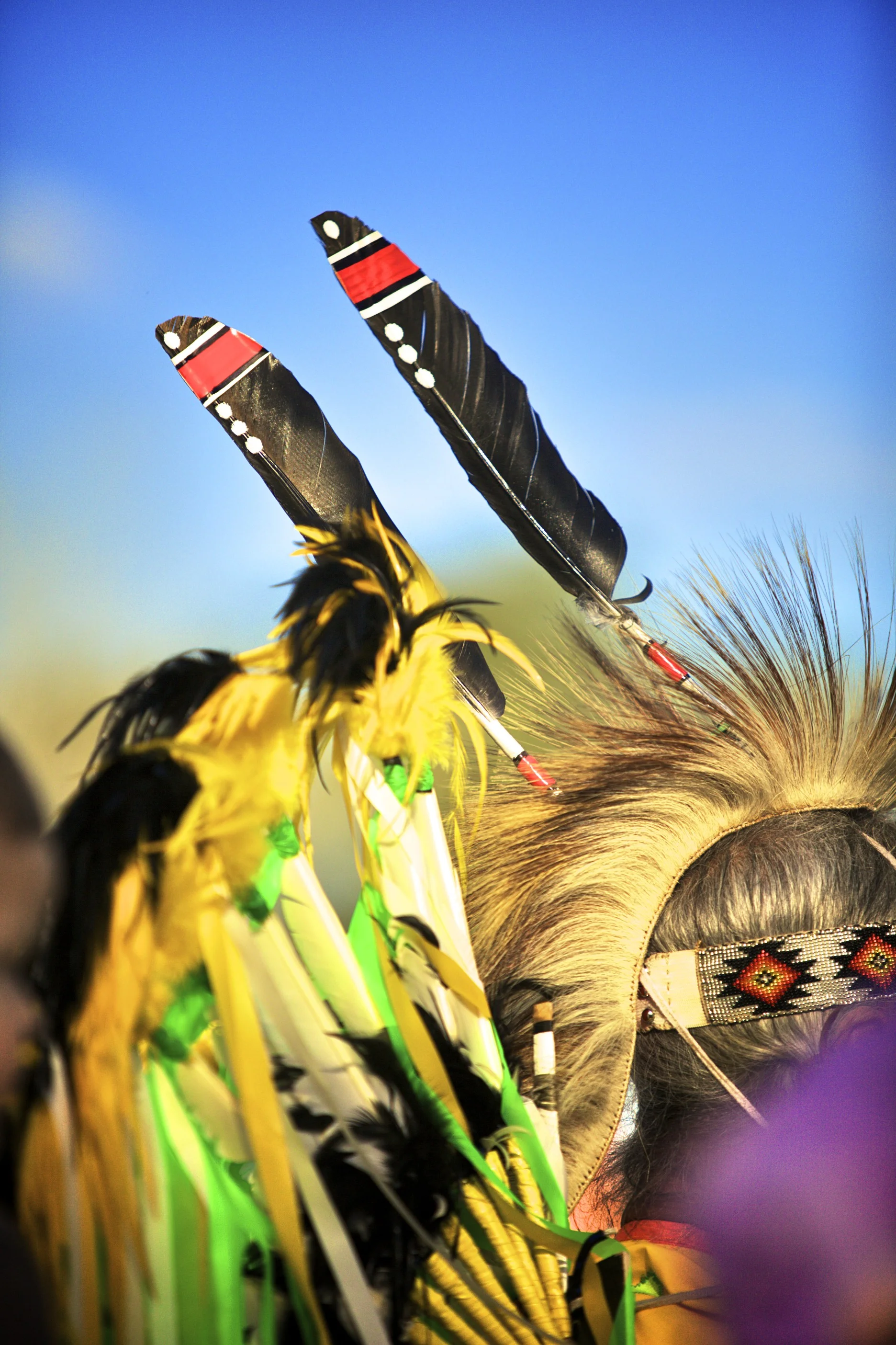 _MG_3661.jpg