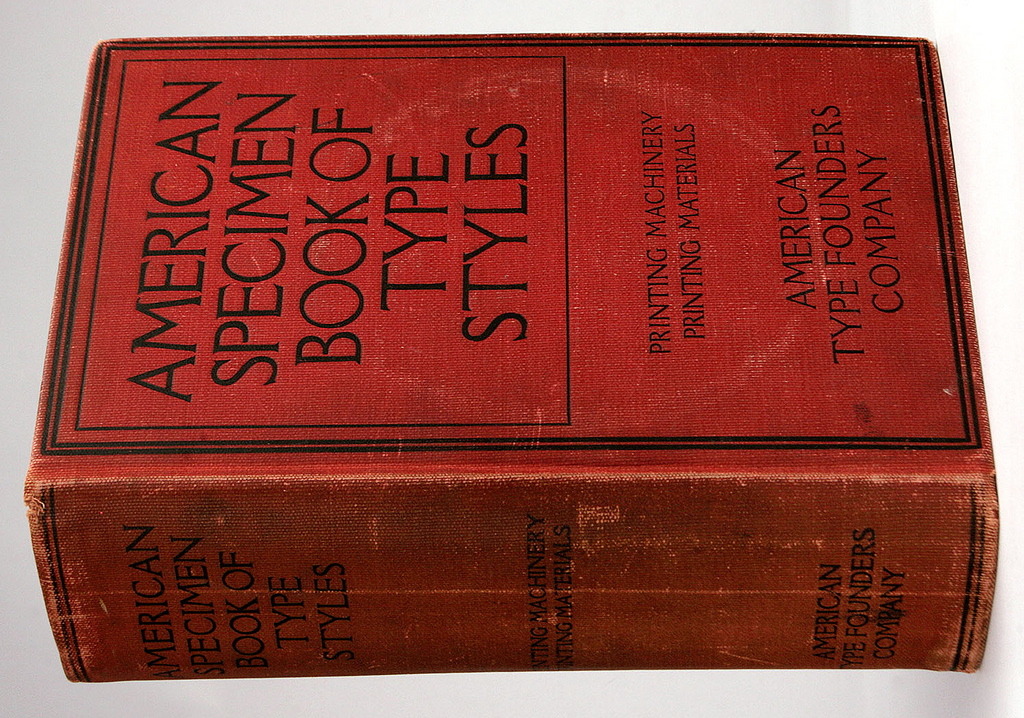 3633894264_3bd528e438_b.jpg