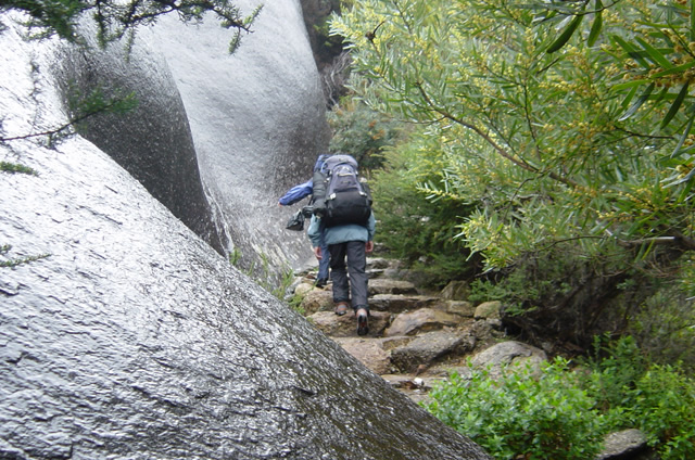 bushwalking wilsonsprom.jpg