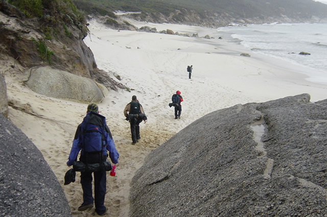 bushwalking wilsonsprom 3.jpg