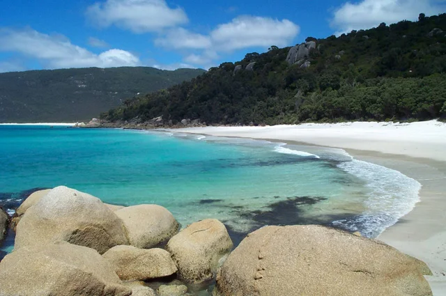 bushwalking wilsonsprom 5.jpg