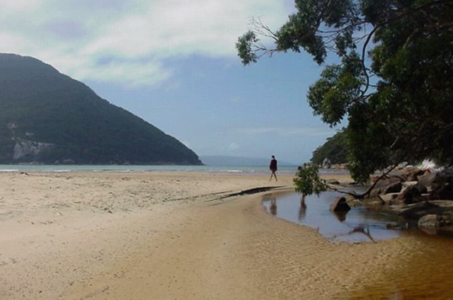 bushwalking wilsonsprom 4.jpg