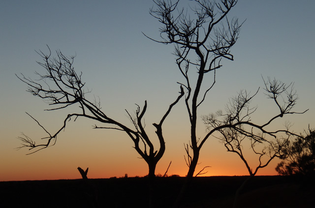 uluru6.jpg