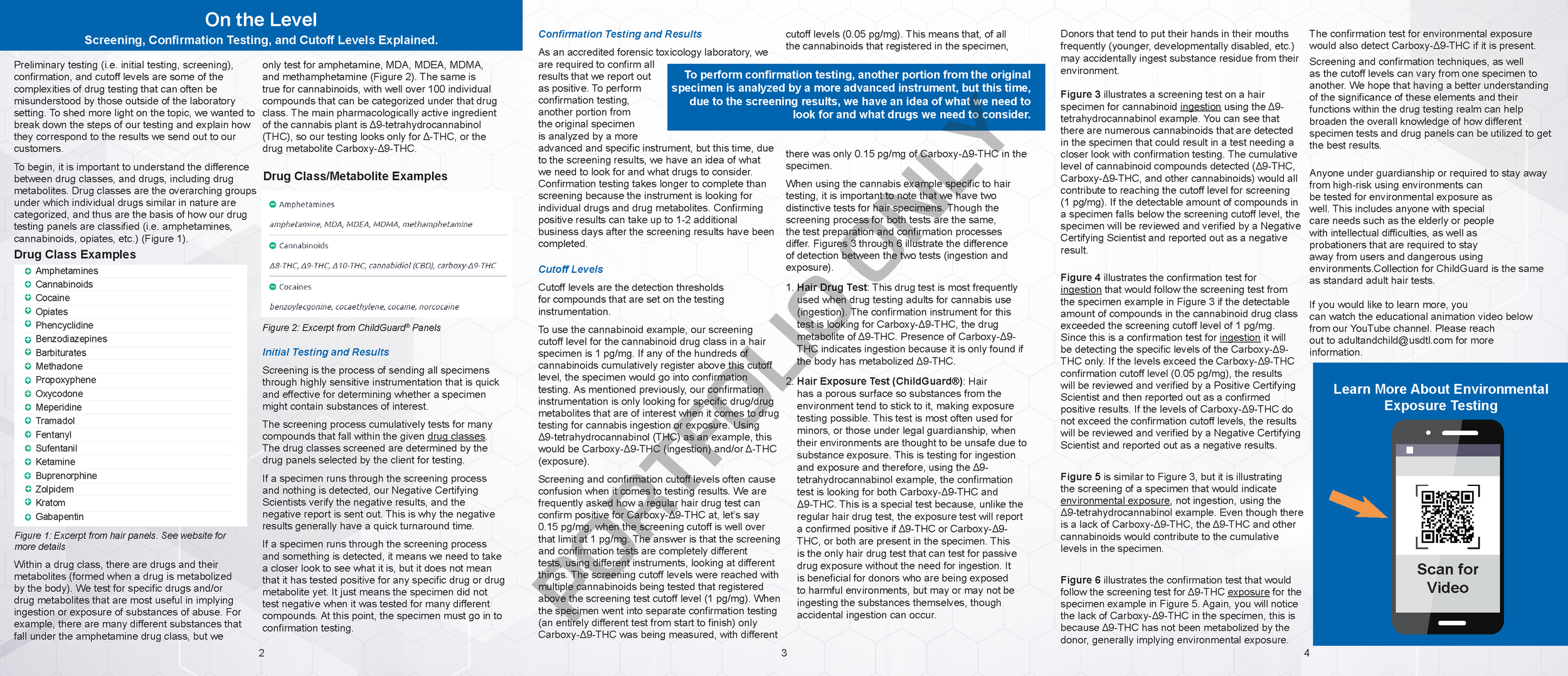 AC Trifold Routes of Incorporation On the Level 8.5x11_Page_1.png