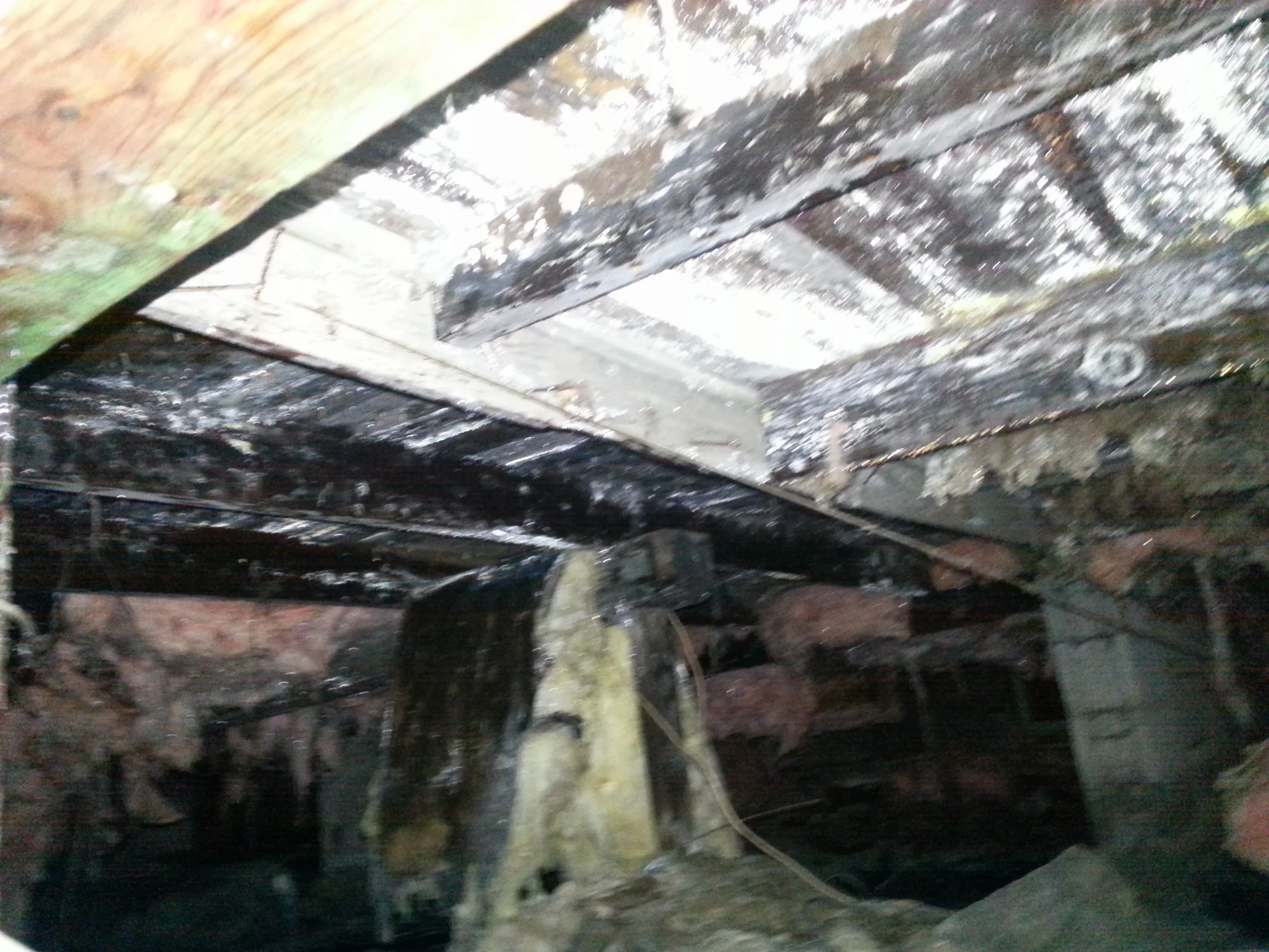 Mold Remediation Services by Groundswell Contracting