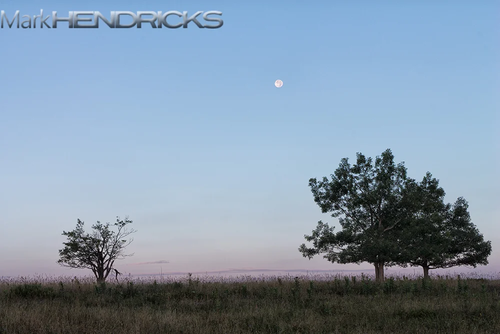 BlueMoon_Shenandoah_Hendricks.jpg