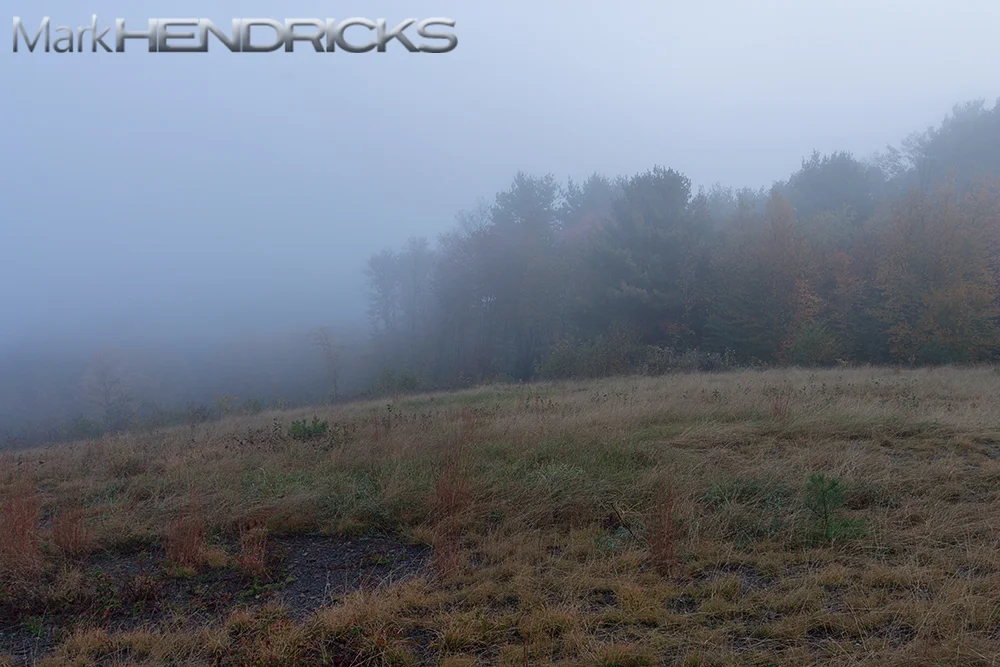 High in the hills of North Central Pennsylvania, a northern section of the Watershed, a primal ritual begins to take place. As the cool mountain air signals the color shift of autumn foliage and fog engulfs the valley, a haunting call echos throughout the land. It is both a symbol of wildness and of the restoration that can be accomplished when man understands what is lost when wild lands are destroyed.