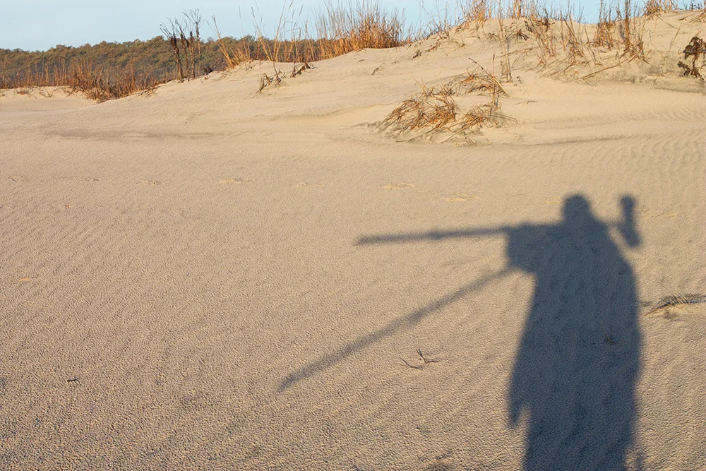 Self Portrait 2014