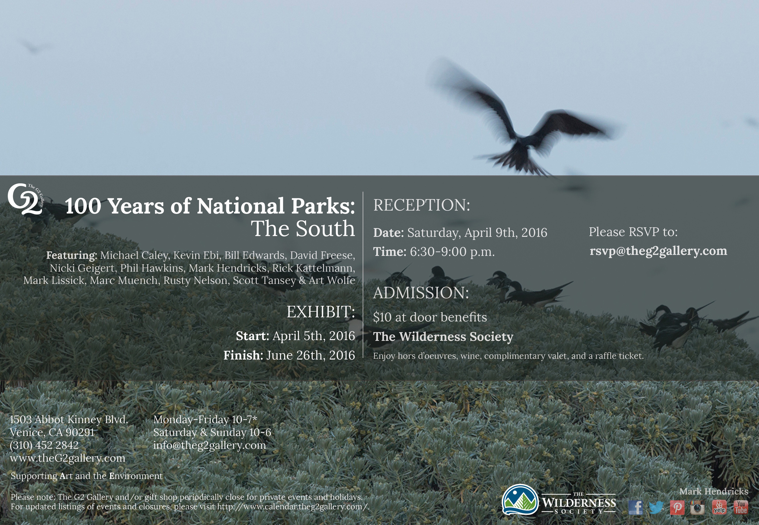 Sooty Tern Rookery- Dry Tortugas on display now at the G2 Gallery in Venice, CA