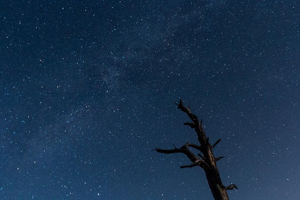 nightsky_assateague.jpg
