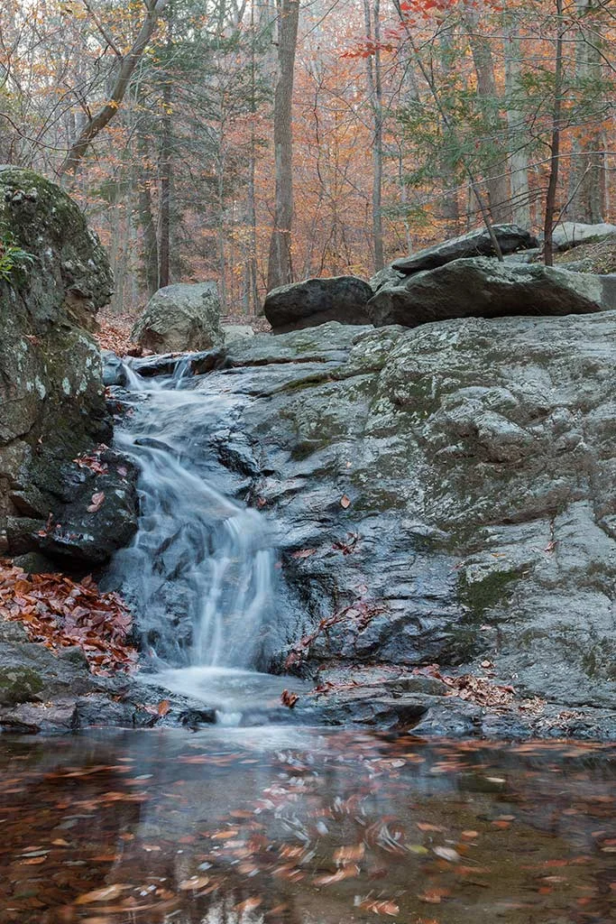 patapsco_fall.jpg