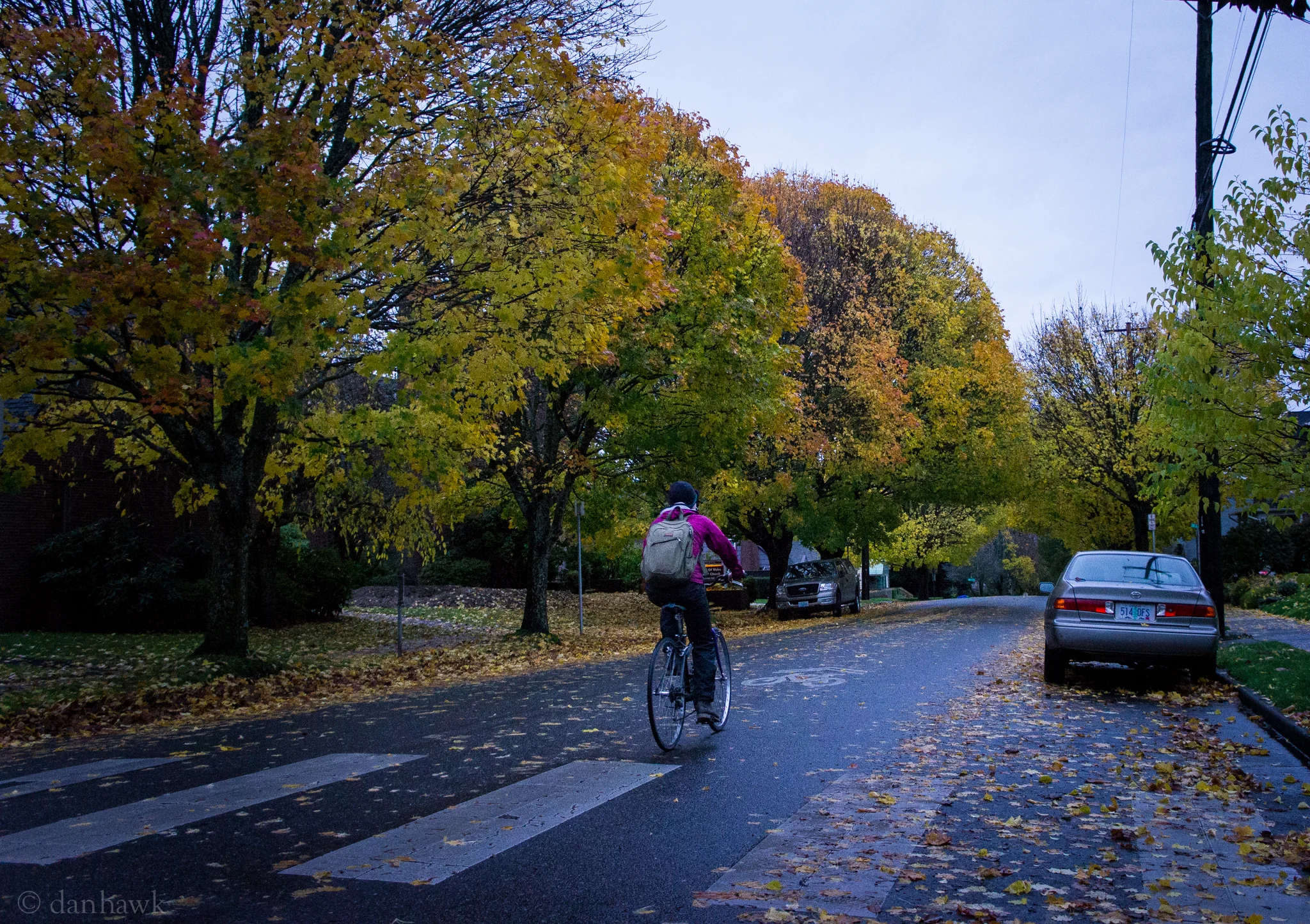 Wet Pavement | 365 Project | Nov 20th, 2012