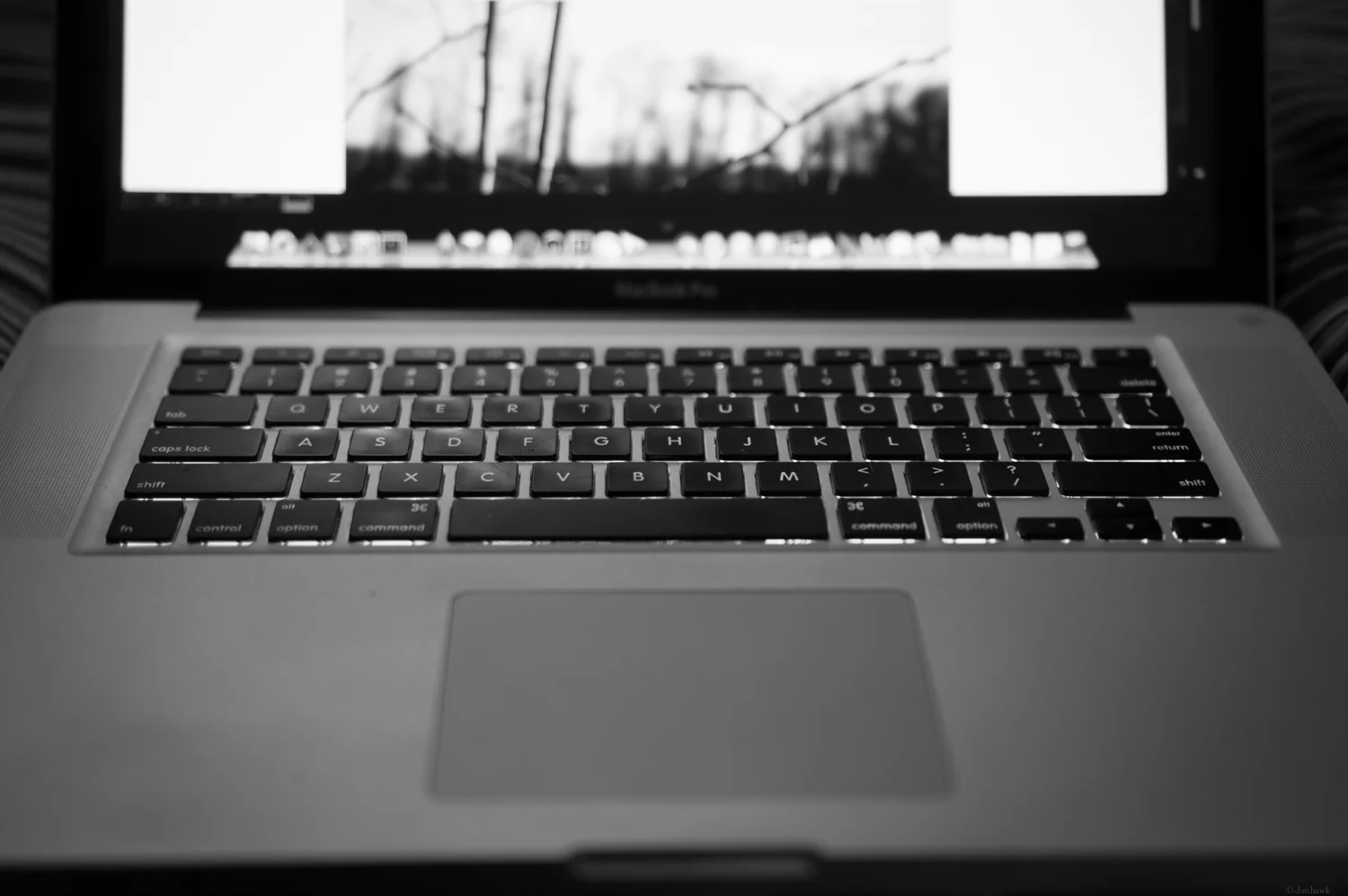 Editing | 365 Project | Feb 3rd, 2013