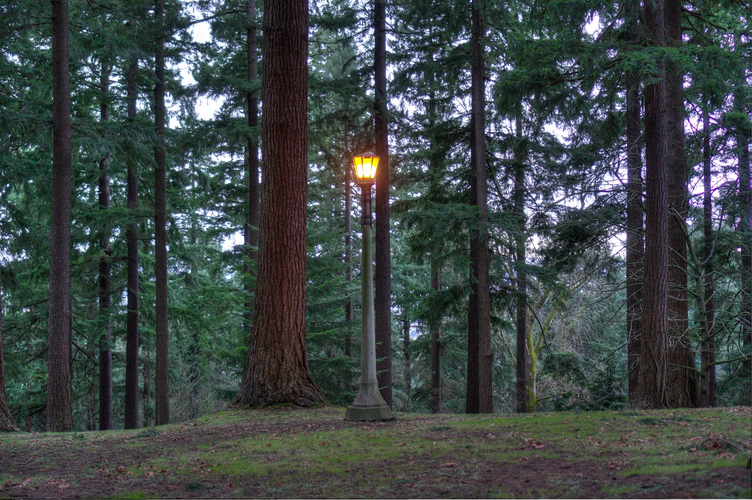 Single Lamp Post