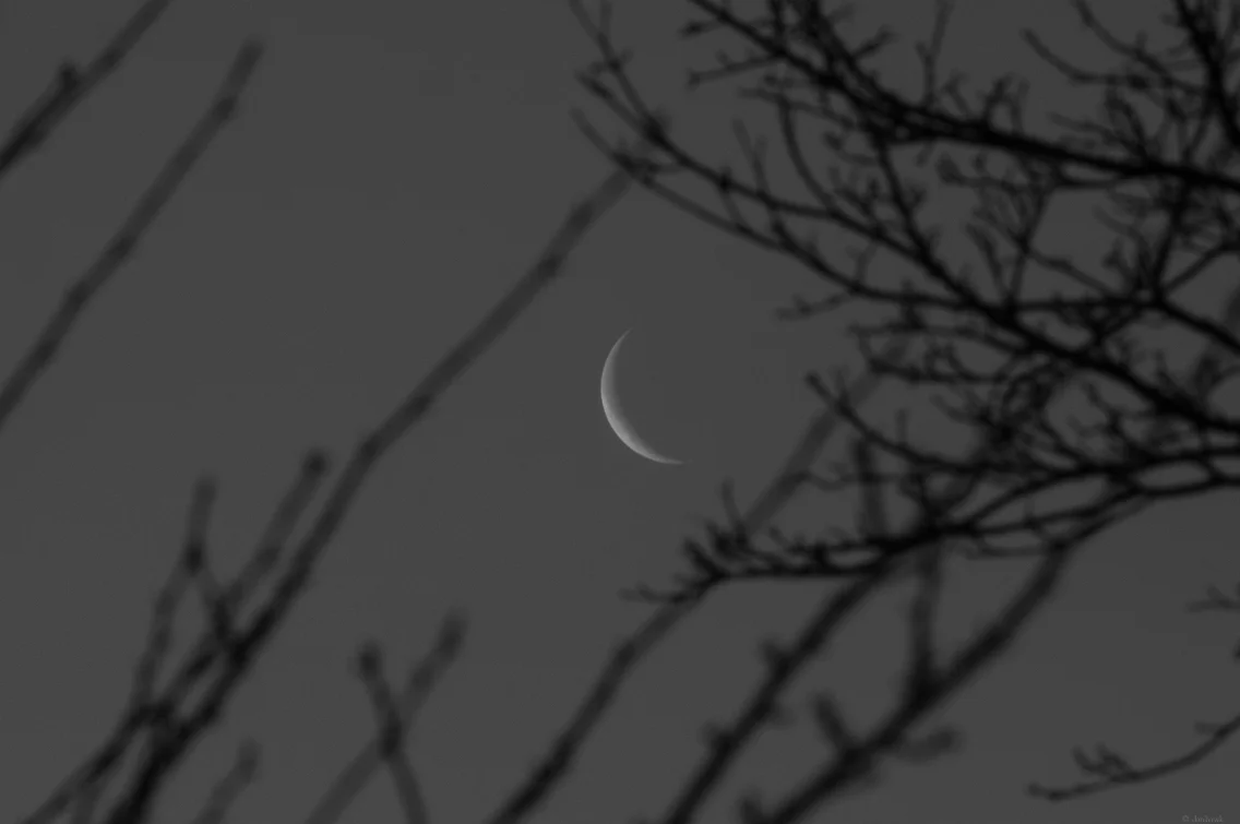 Sliver of Silver | 365 Project | March 8th, 2013 | ISO 800, 205mm, f/18, 1/80
