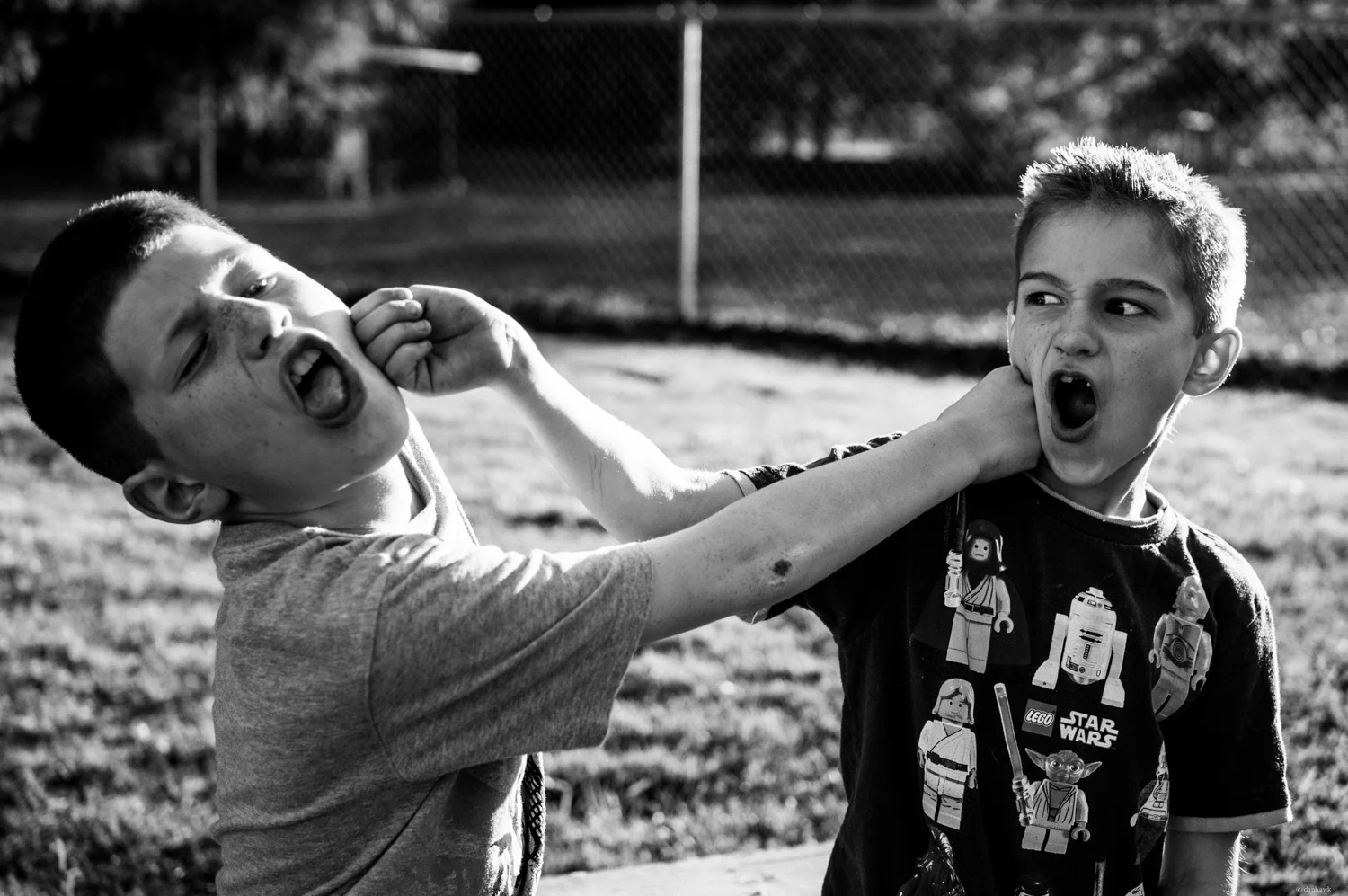 Staged | 35mm, f/2.5, ISO 100, 1/800