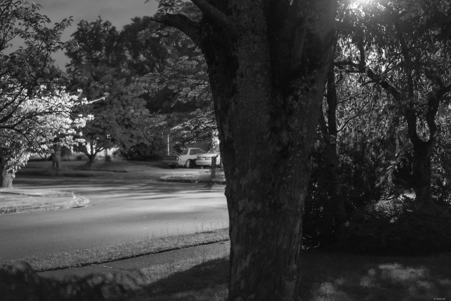 By Streetlight | 365 Project | June 10th, 2013 | 35mm, f/1.8, ISO 3200, .4 sec