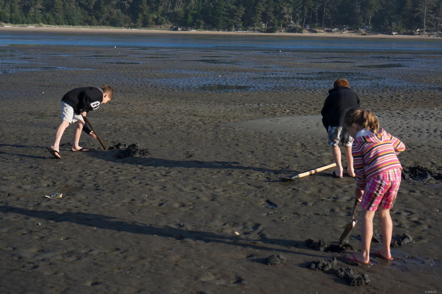 Digging Kids
