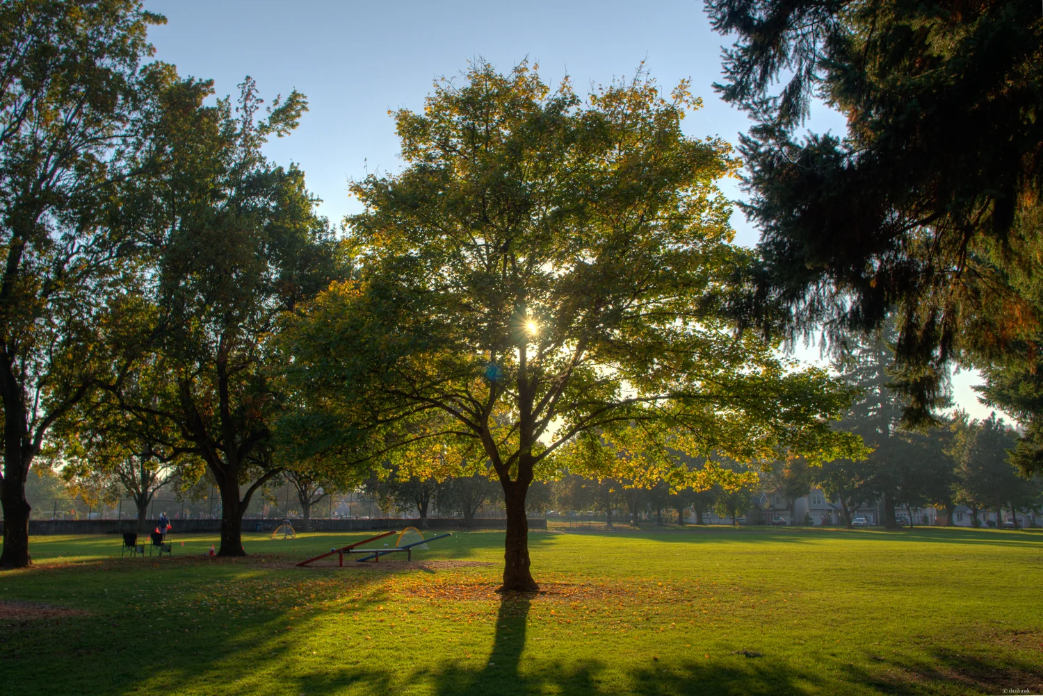 Berrydale Park | 24mm, f/4.5, ISO 100, 1/400