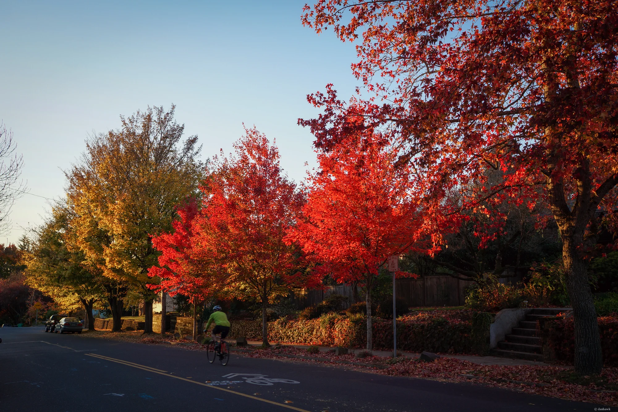 Fall Bike Commute | 24mm, f/5, ISO 100, 1/125