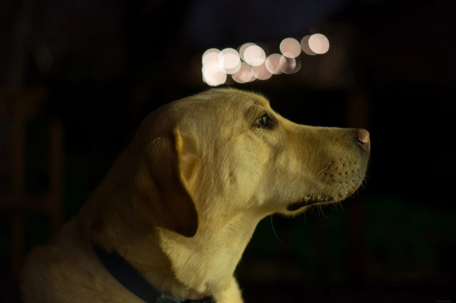 His Middle Name is Noble | Feb 24th
