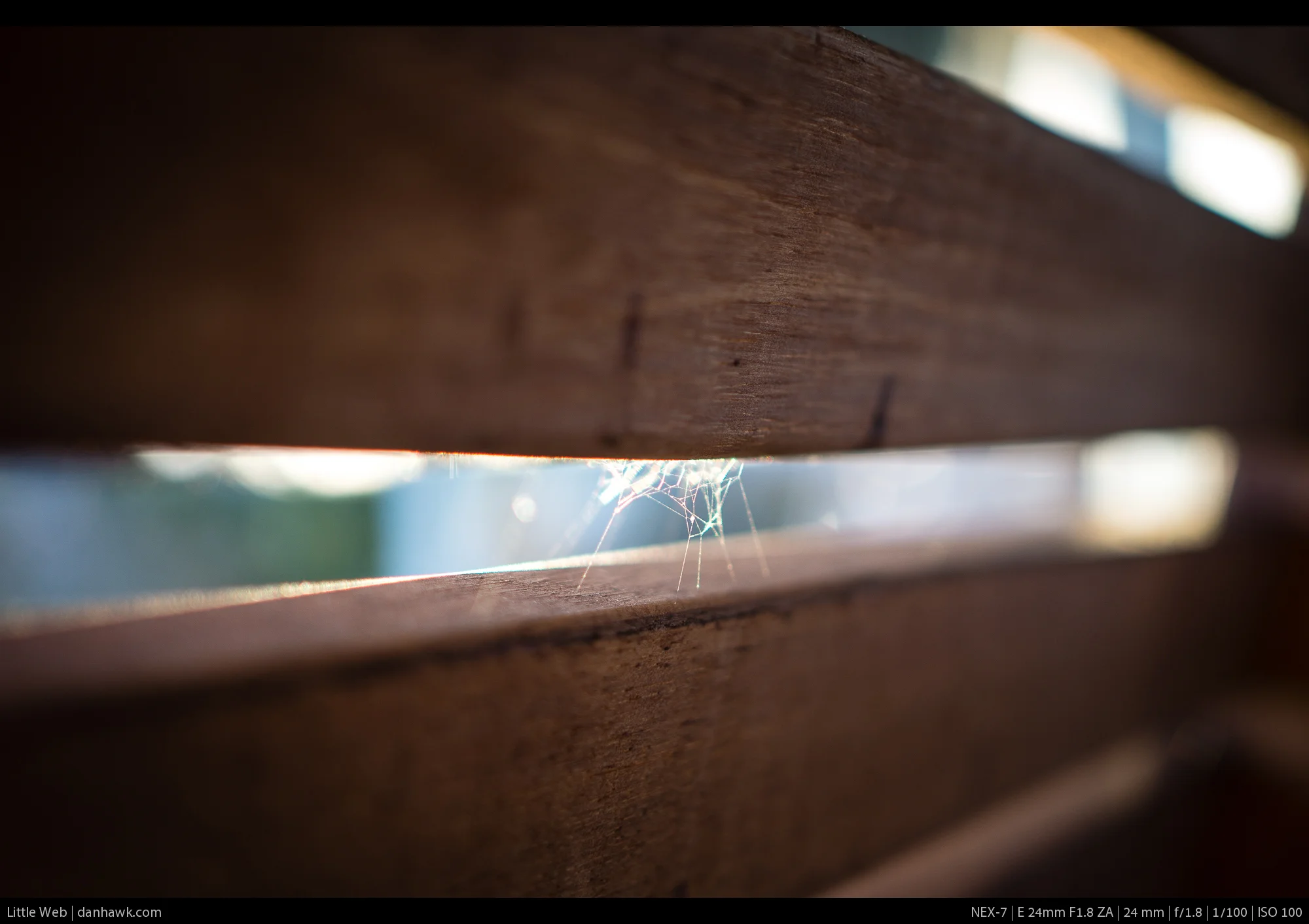 Little Web