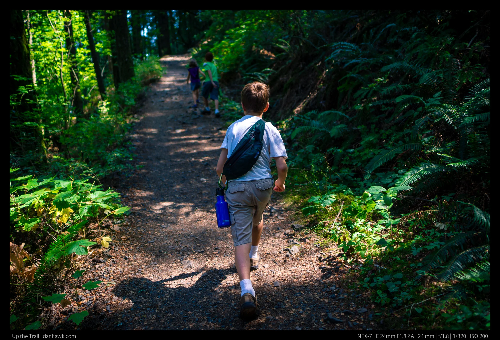 Up the Trail