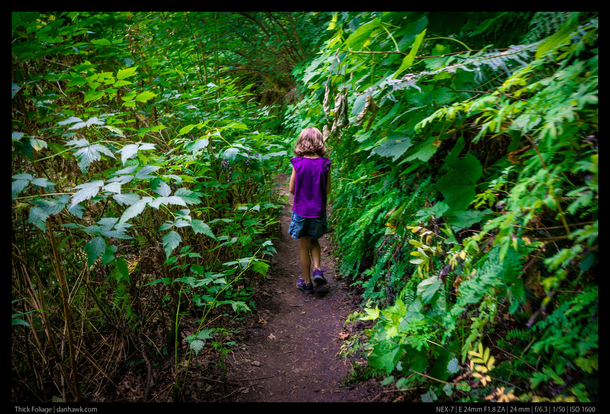 Thick Foliage