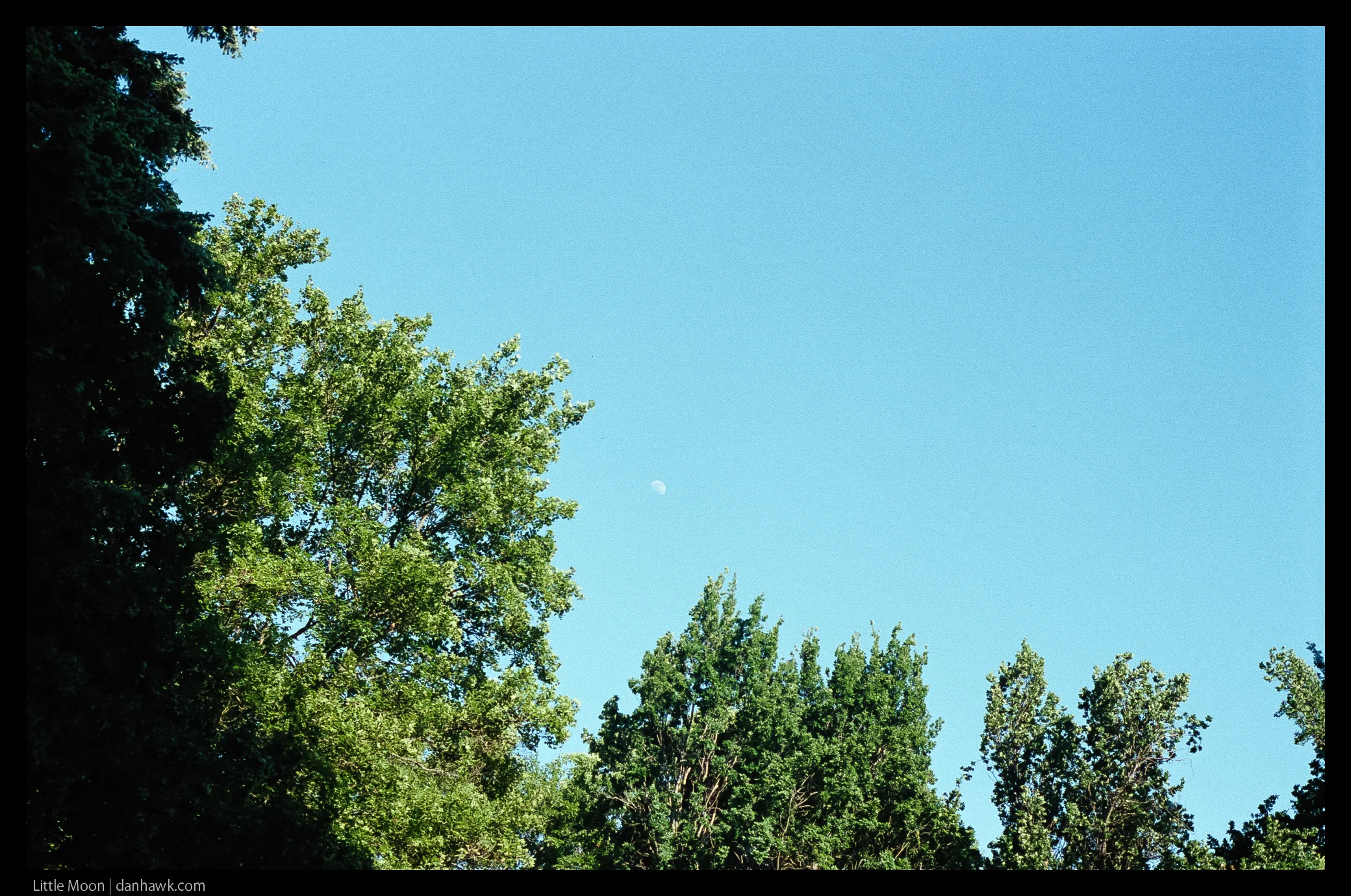 Little Moon