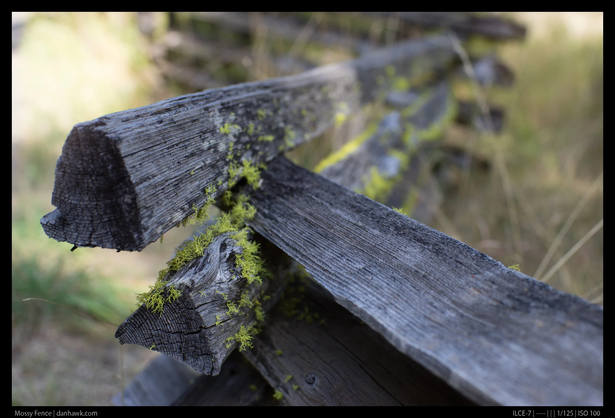 Mossy Fence