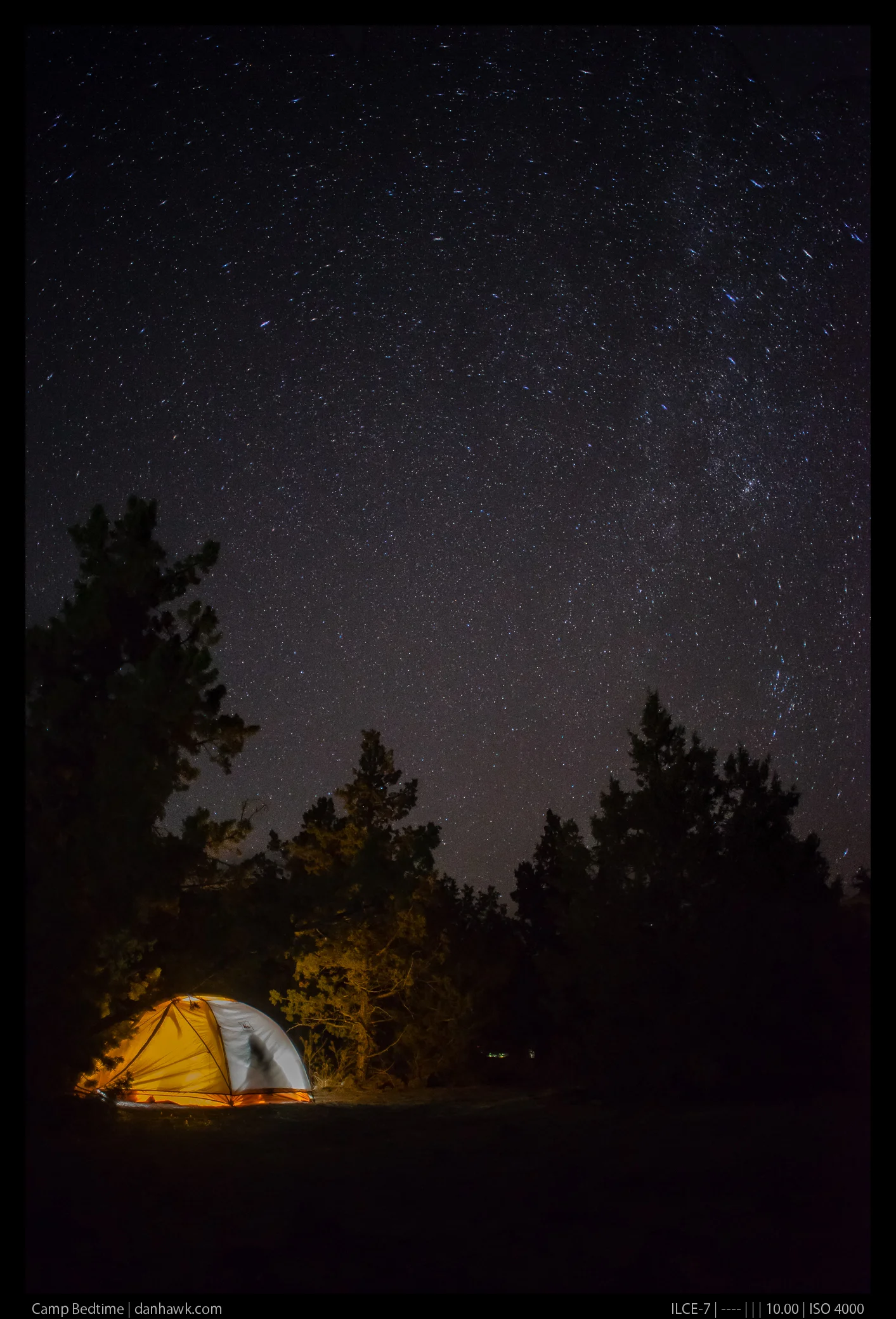 Camp Bedtime