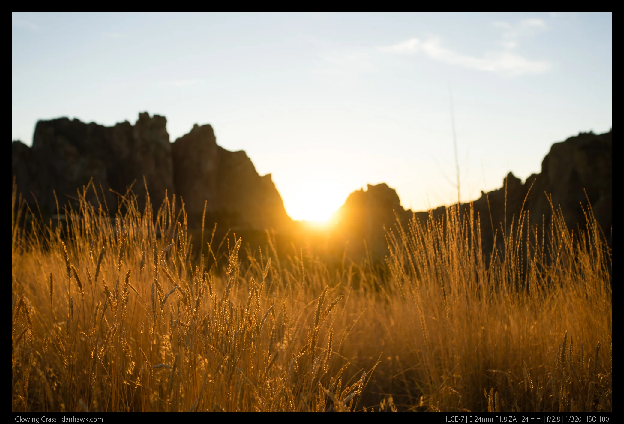 Glowing Grass