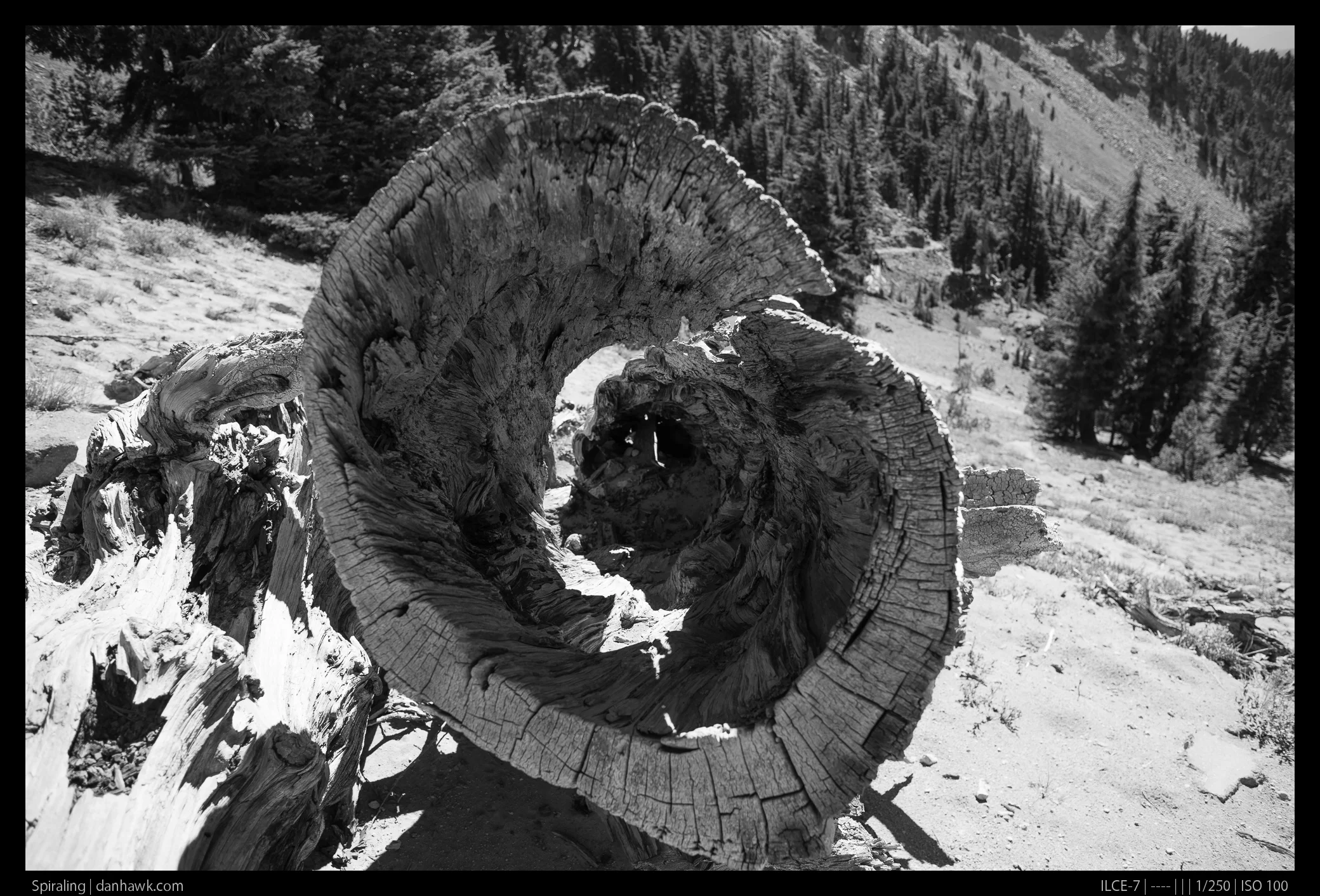 Spiraling