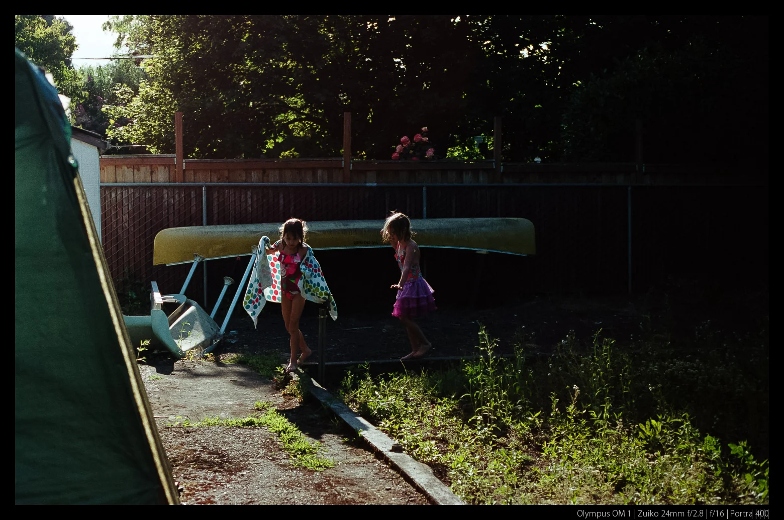 Kodak Portra 400 on the 4th of July in bright afternoon sun.