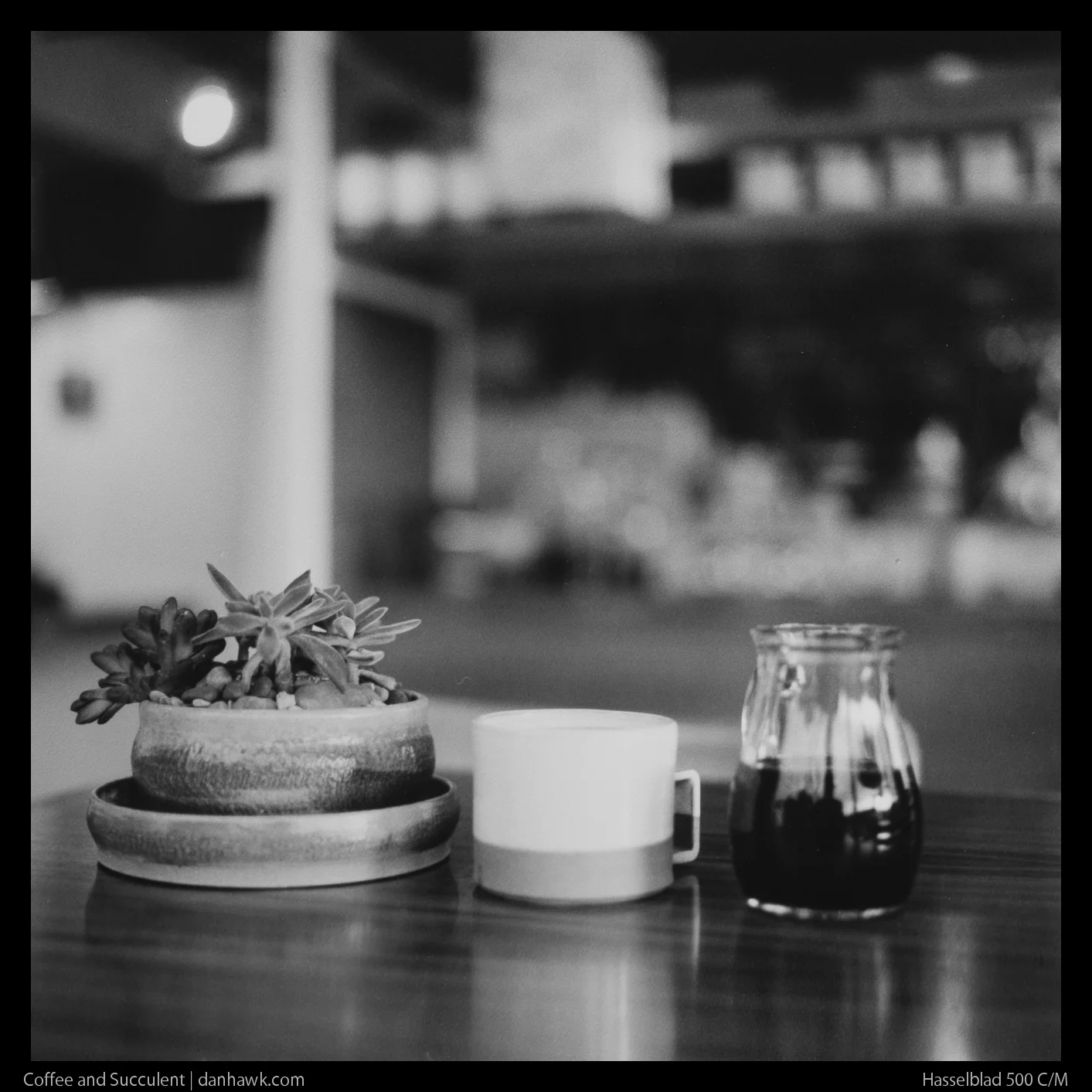 Coffee and Succulent
