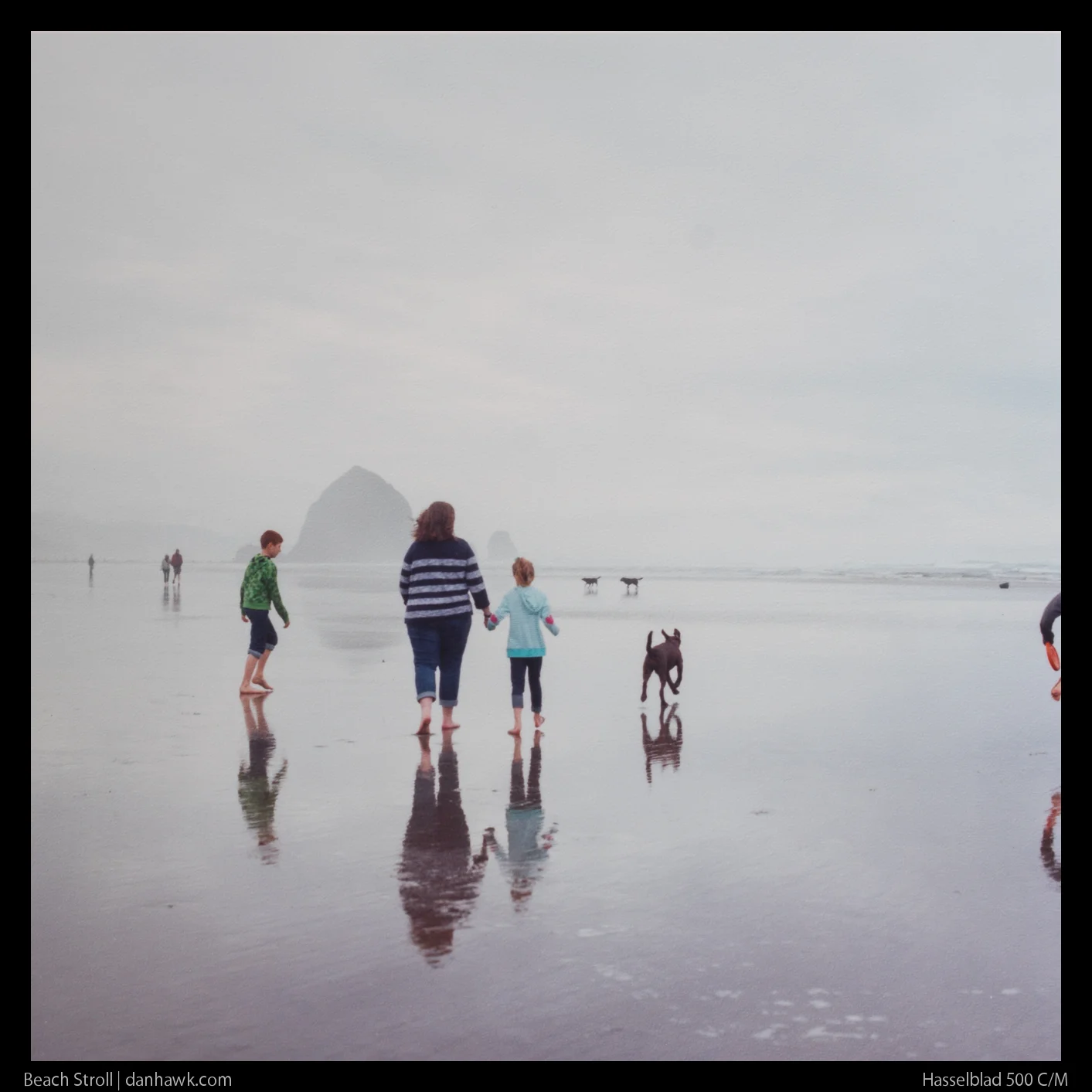 Beach Stroll