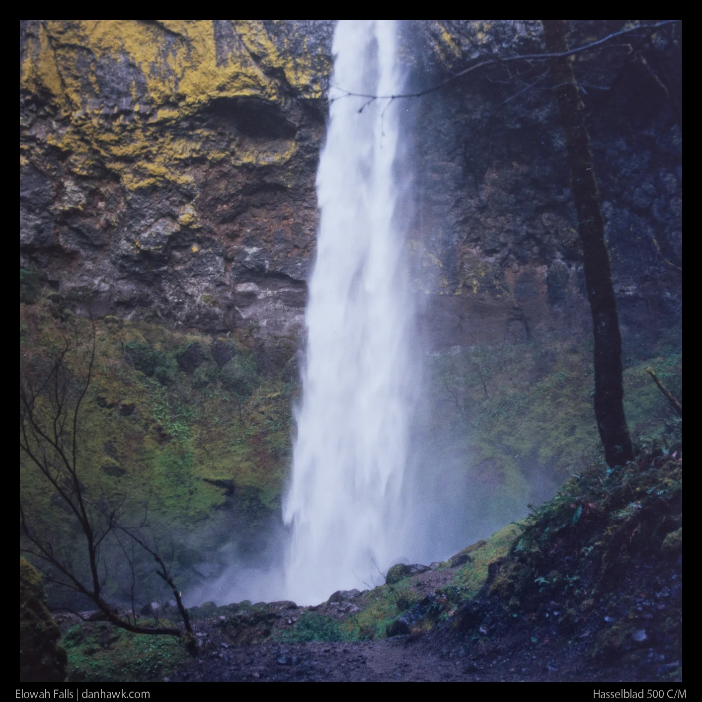 Elowah Falls