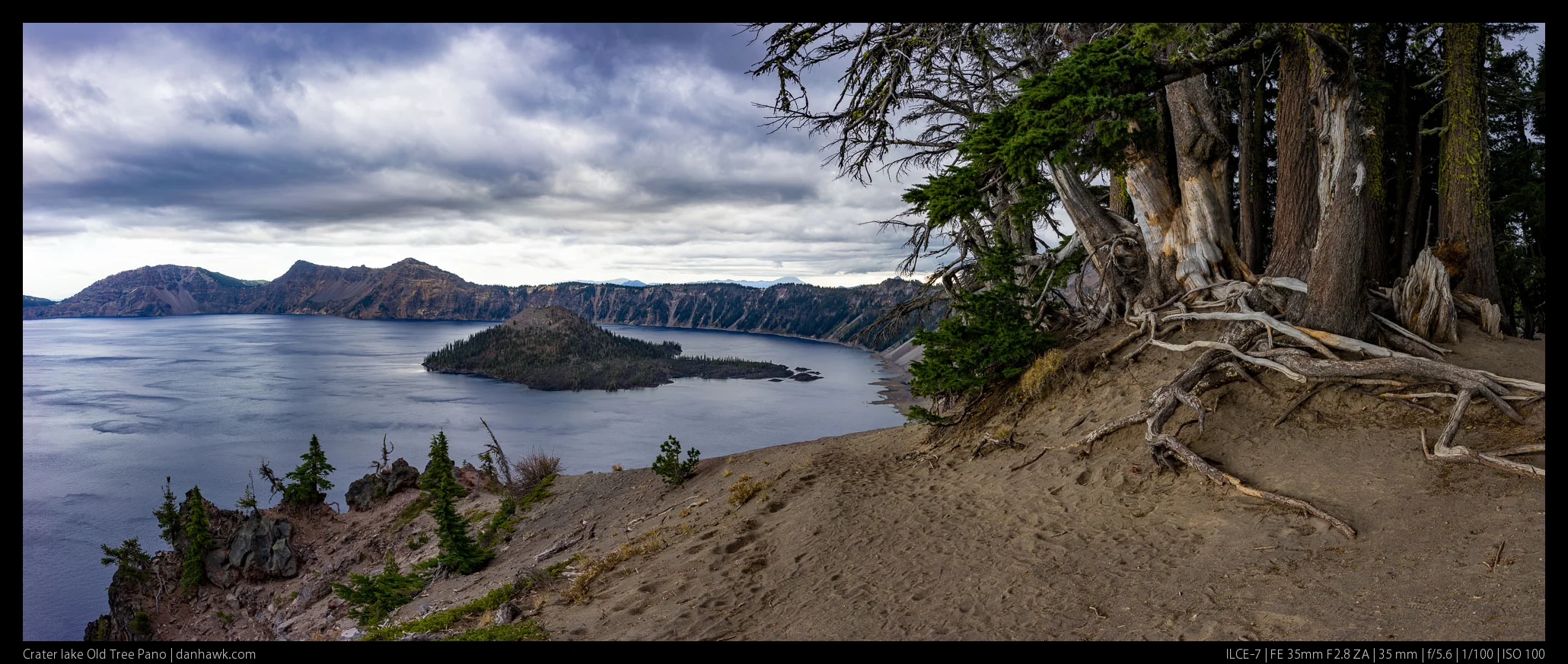 Crater lake Old Tree Pano
