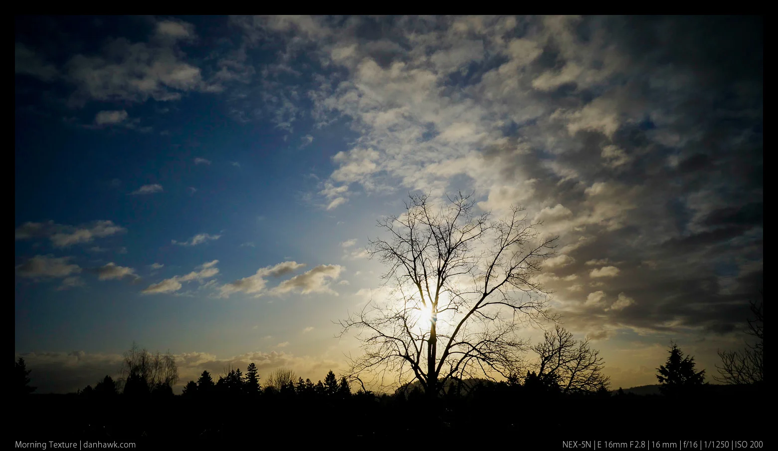 Morning Texture