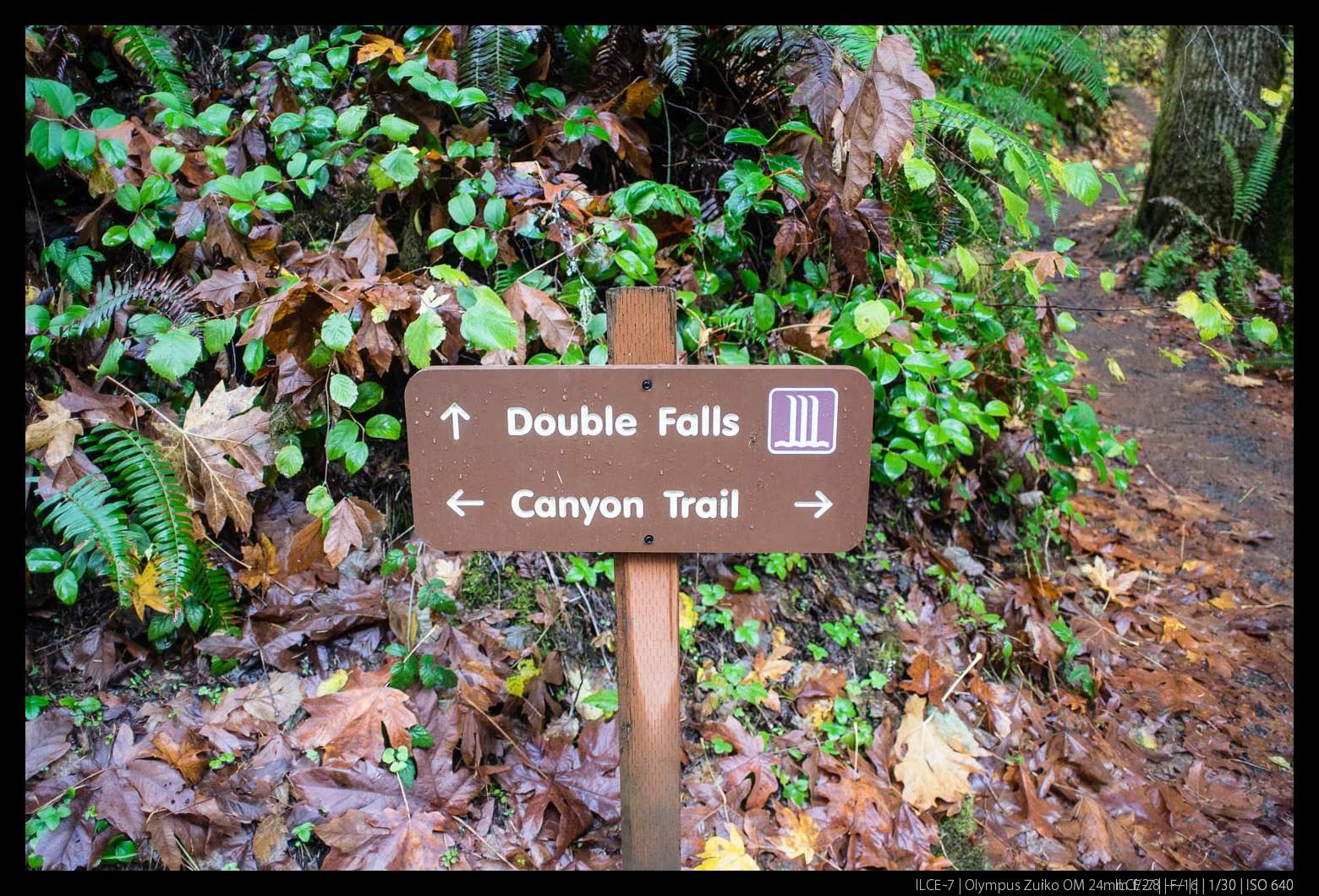 Signage