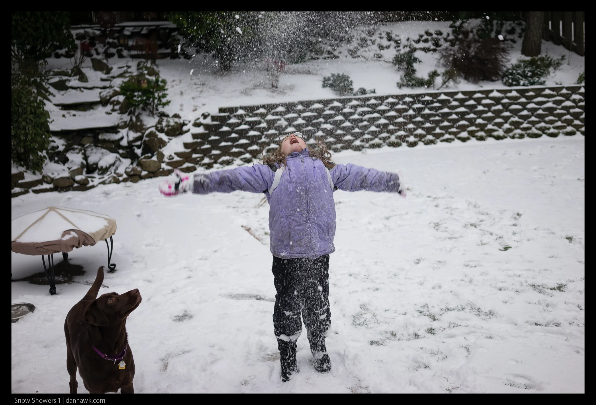 Snow Showers 1