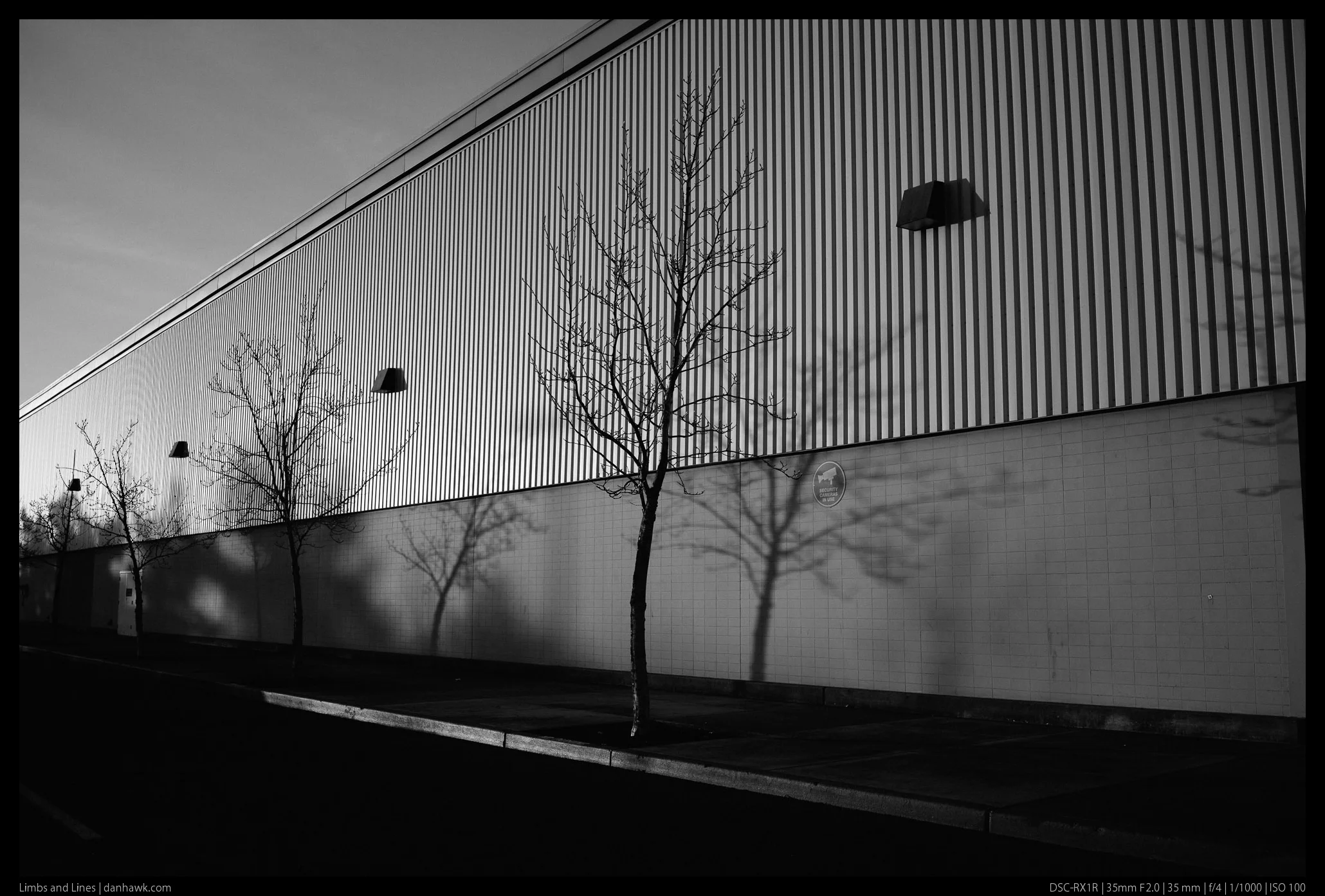 Limbs and Lines
