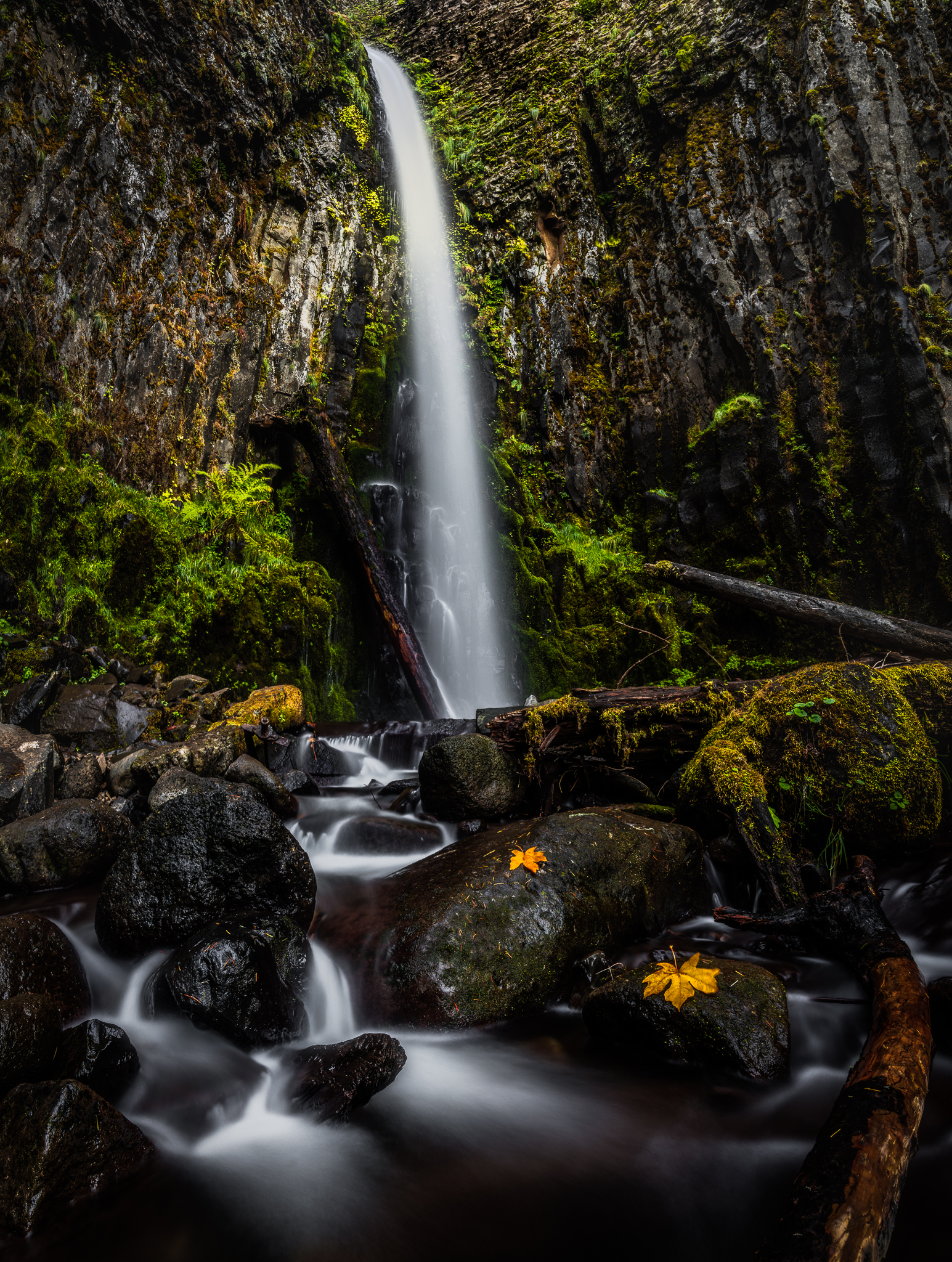 Dry Creek Falls by Autumn.jpg