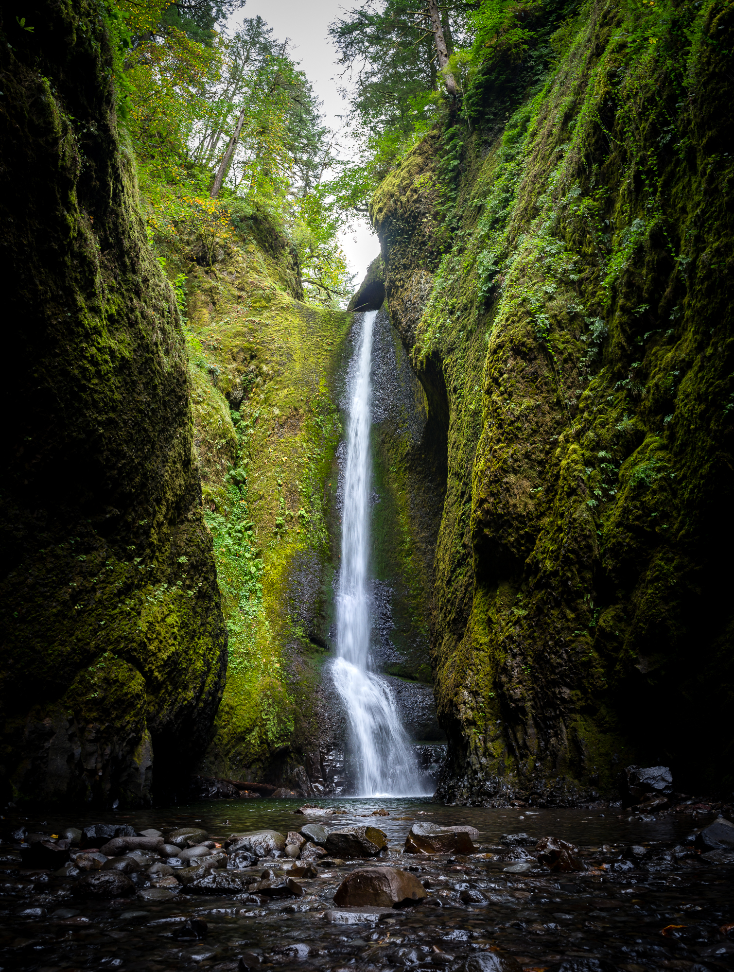 Oneonta Falls