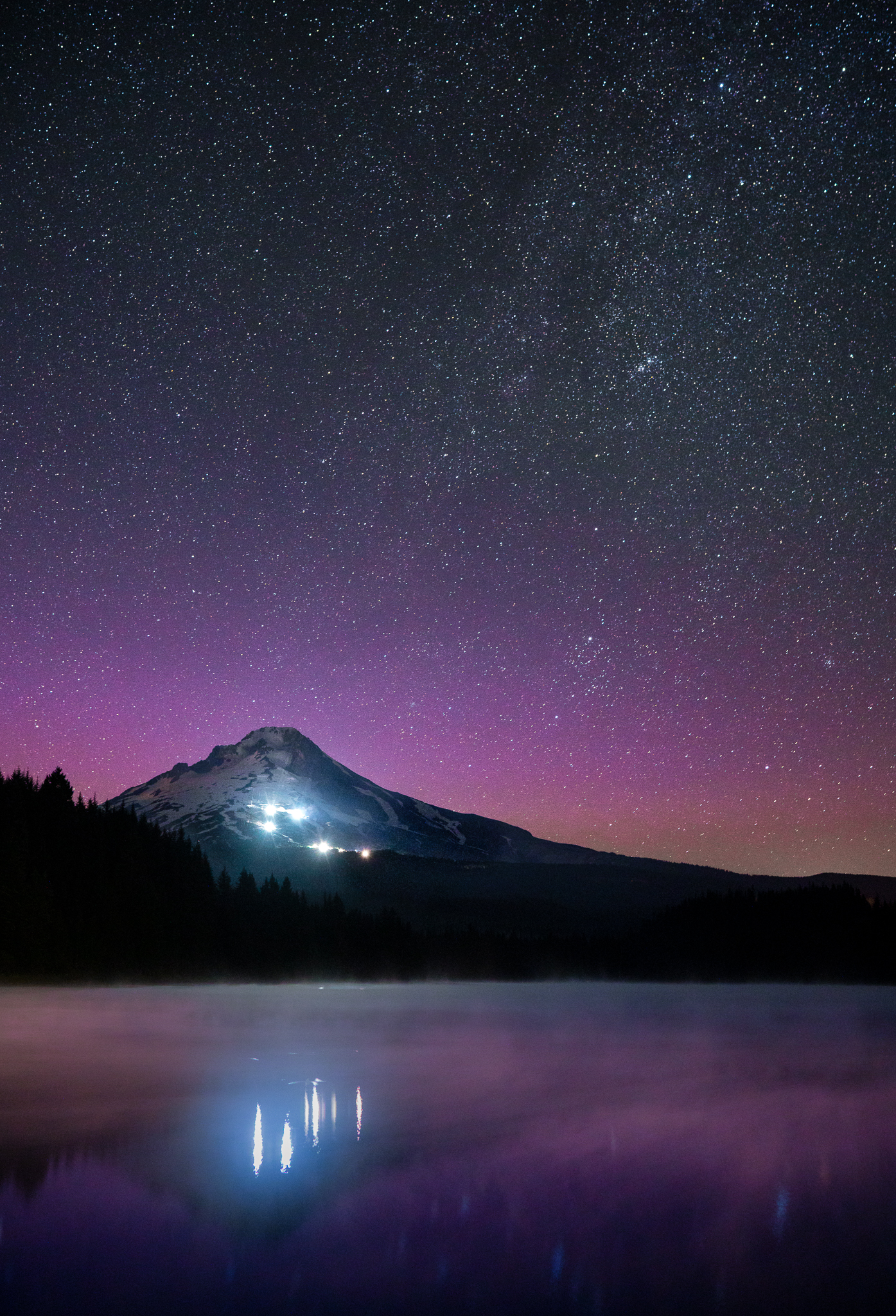 Trillium Glow