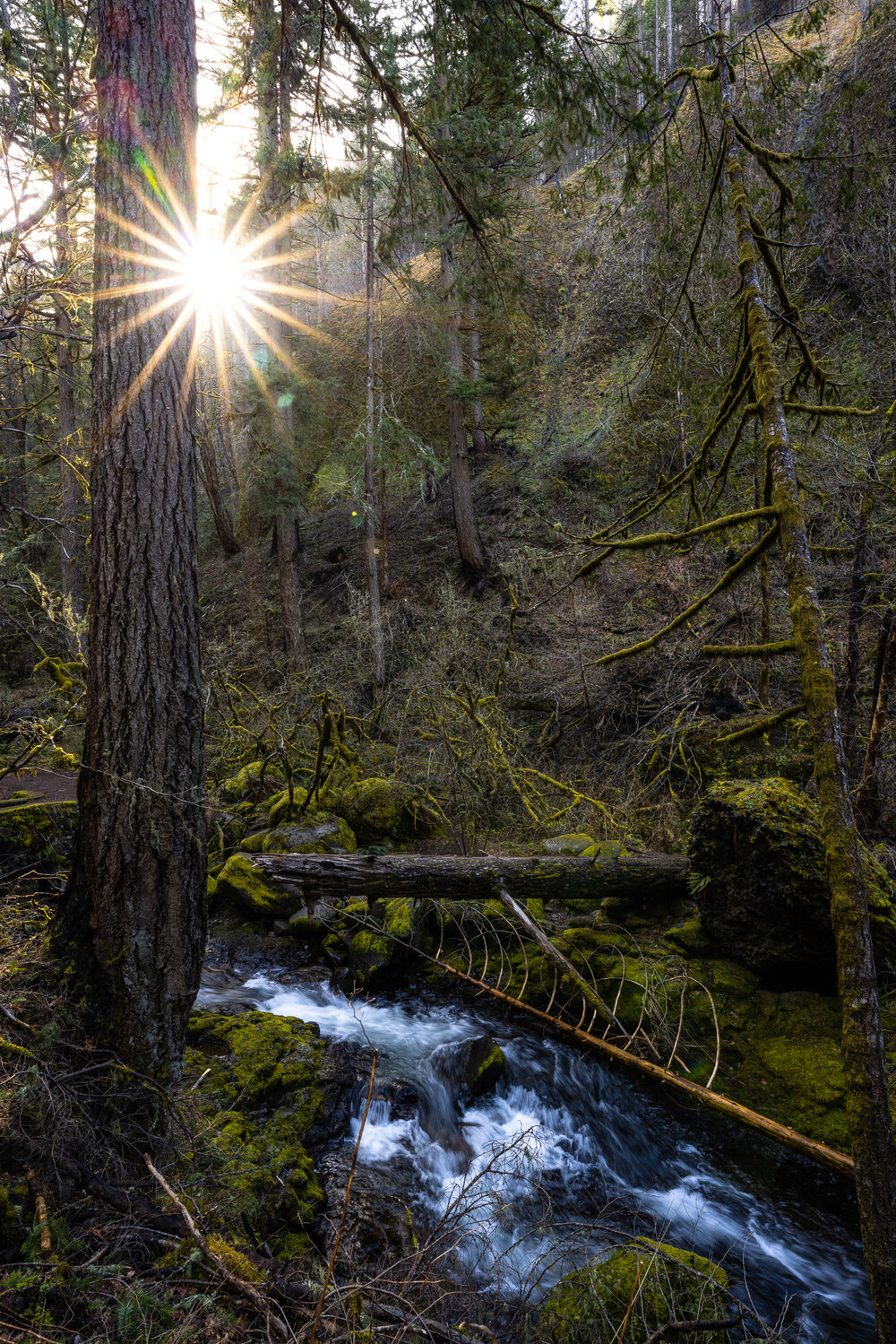 Sunstar Creek 20.jpg