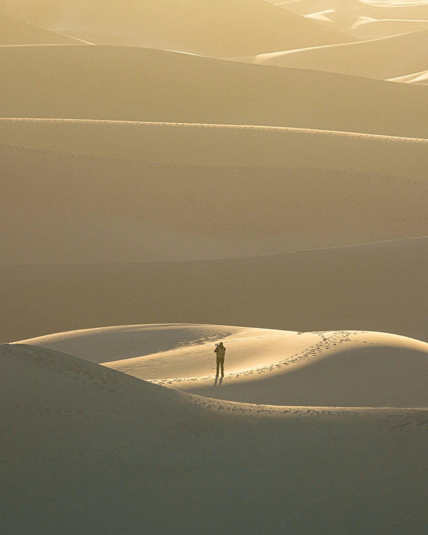 I'm always so grateful to spend time with friends in nature. @minhazrsarker met up with me for 3.5ish days of shooting. Here he is off in the distance on the dunes.

______________________
#deathvalleynationalpark @sonyalpha #sonyalpha #desert #dunes